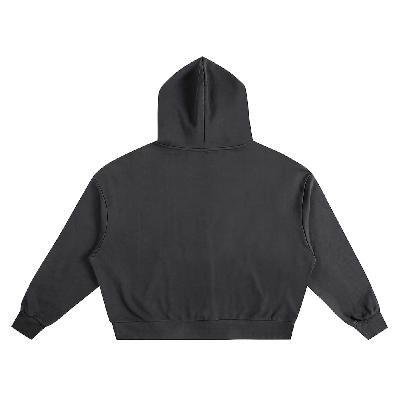 Boxy Hoodie (Auctorix)