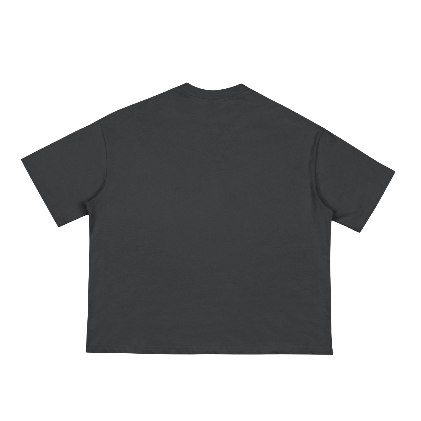 Boxy T-Shirt (Auctorix)