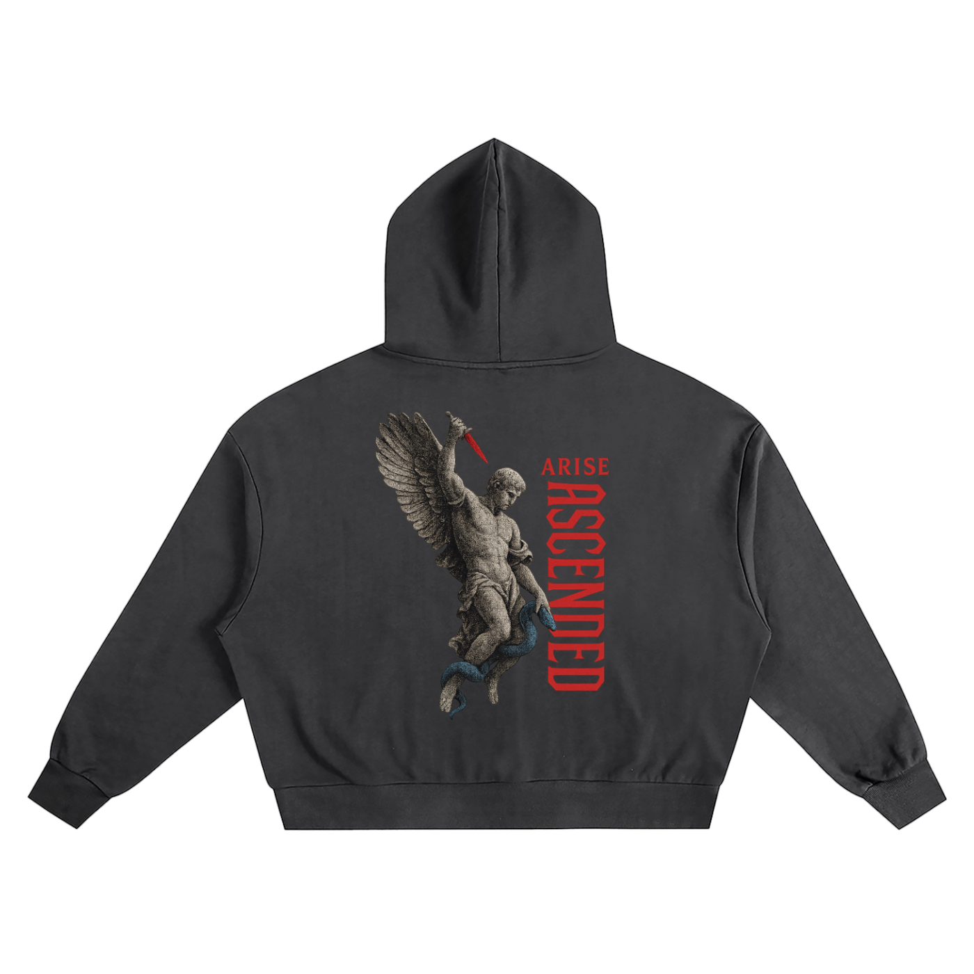 Boxy Hoodie (Arise Ascended)