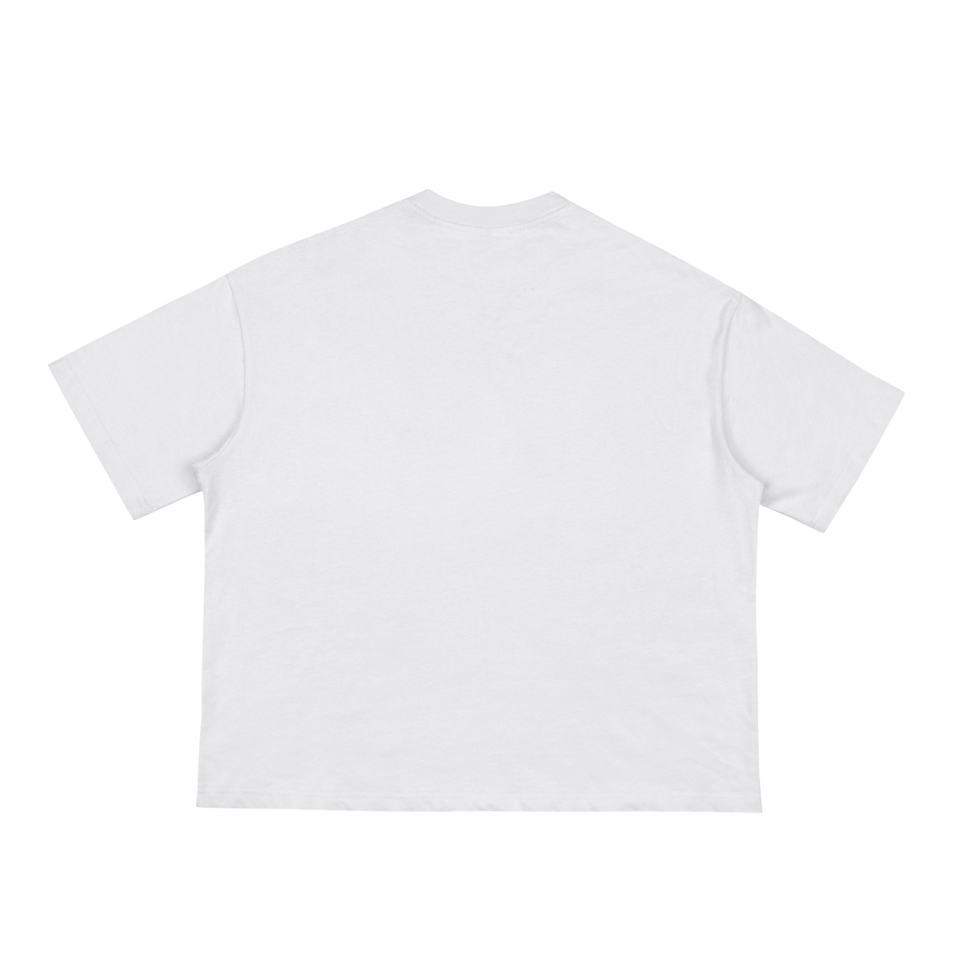 Boxy T-Shirt (Auctorix)
