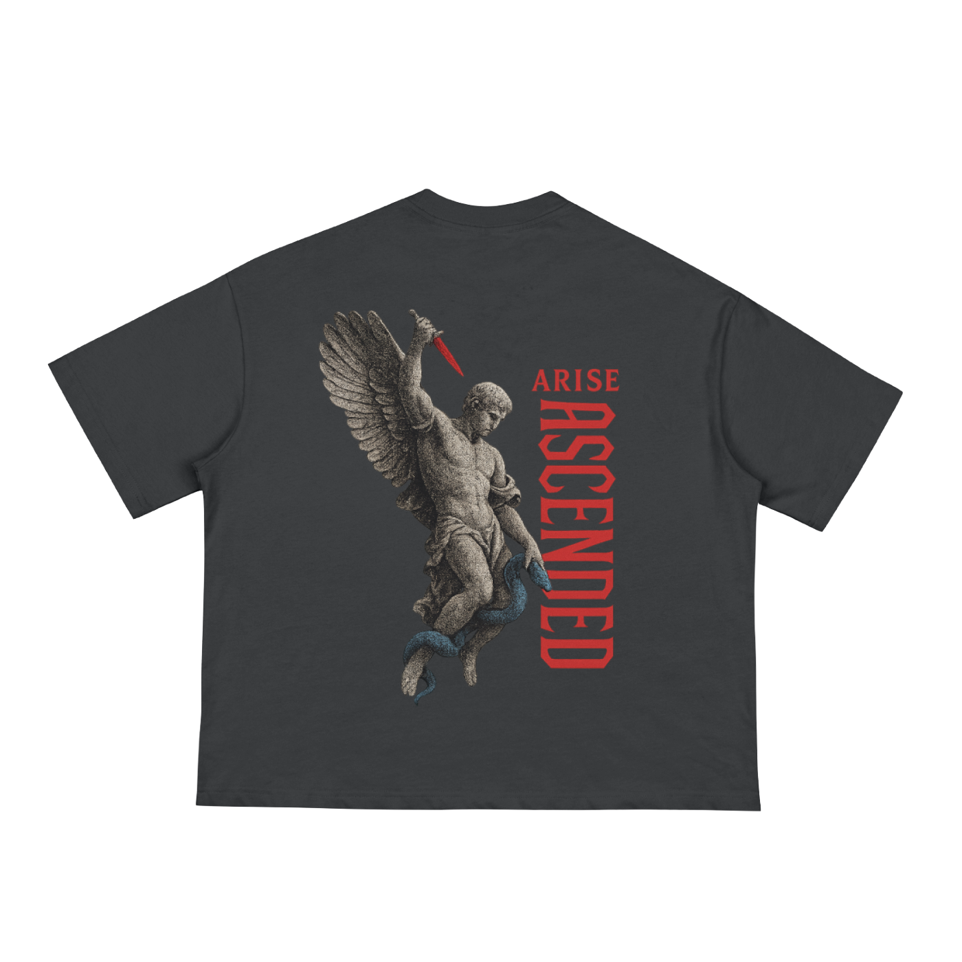 Boxy T-Shirt (Arise Ascended)